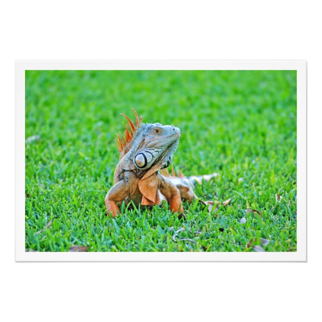 Utvidgning av foto (Framsidan)