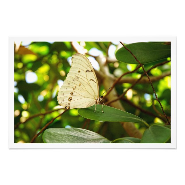 Utvidgning av foto (Framsidan)