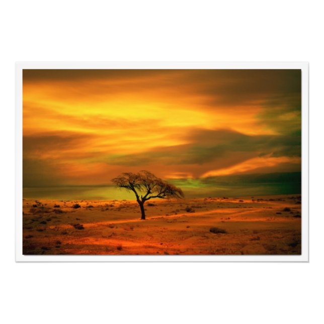 Utvidgning av foto (Framsidan)