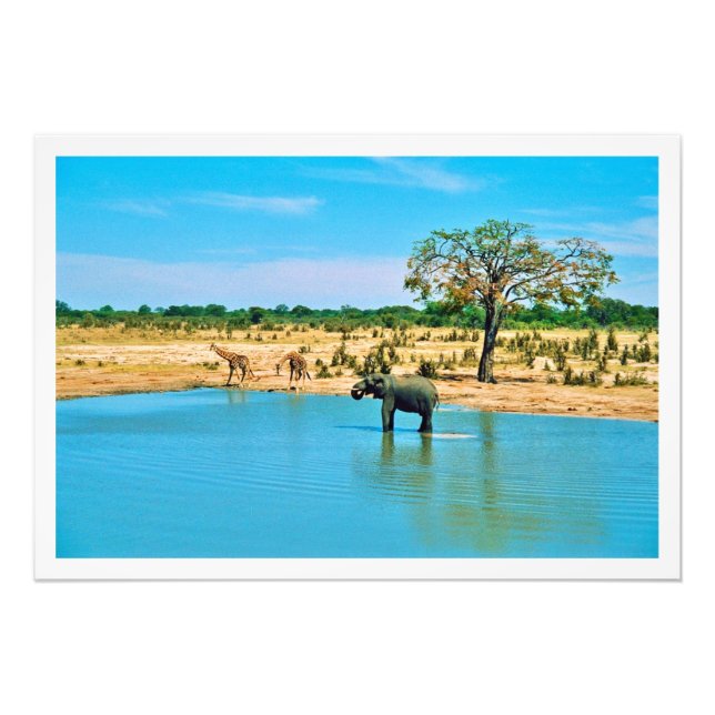 Utvidgning av foto (Framsidan)