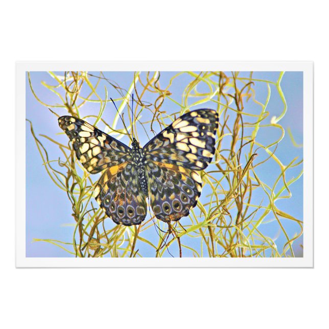 Utvidgning av foto (Framsidan)