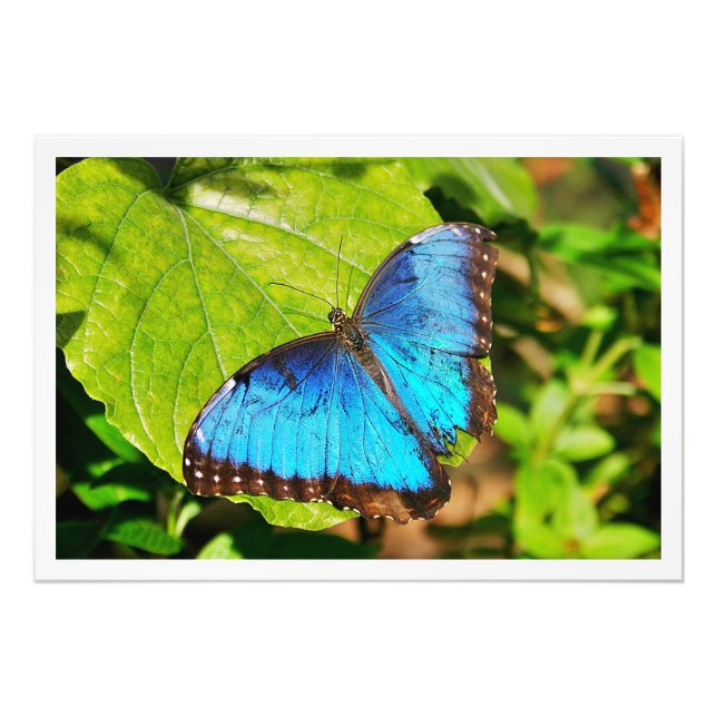 Utvidgning av foto (Framsidan)