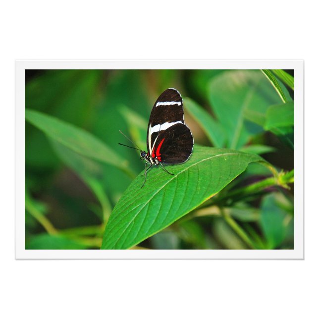 Utvidgning av foto (Framsidan)