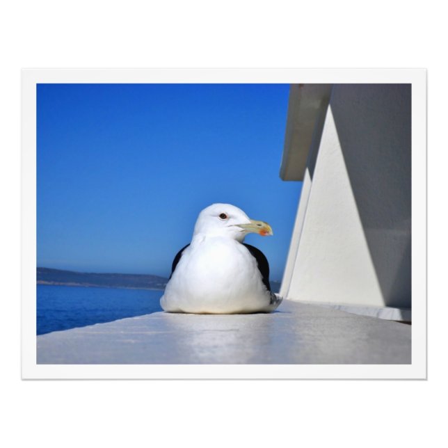 Utvidgning av foto (Framsidan)