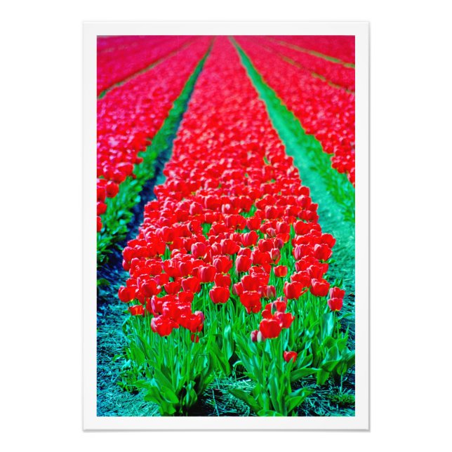 Utvidgning av foto (Framsidan)