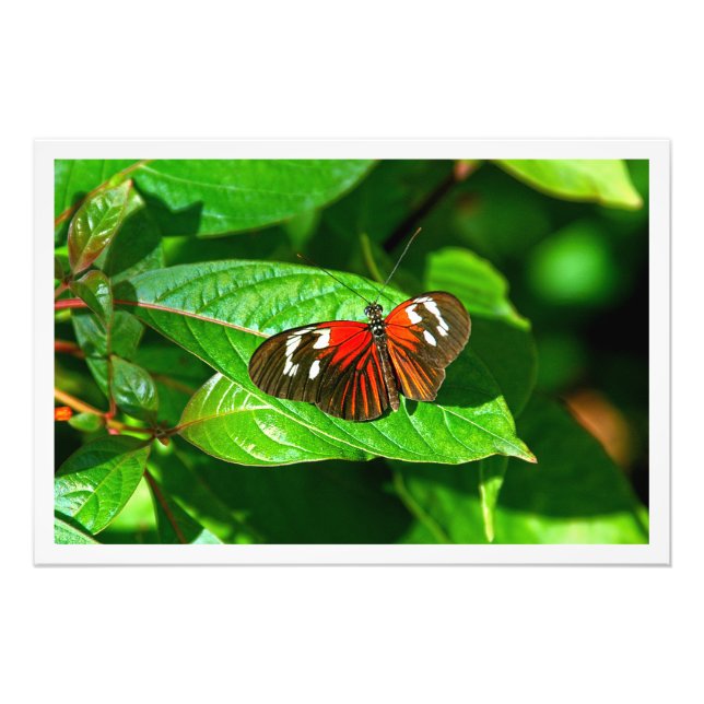 Utvidgning av foto (Framsidan)