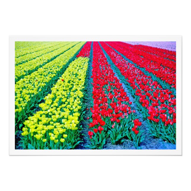 Utvidgning av foto (Framsidan)