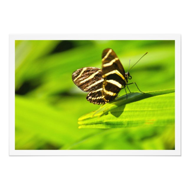 Utvidgning av foto (Framsidan)