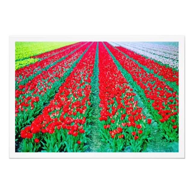 Utvidgning av foto (Framsidan)