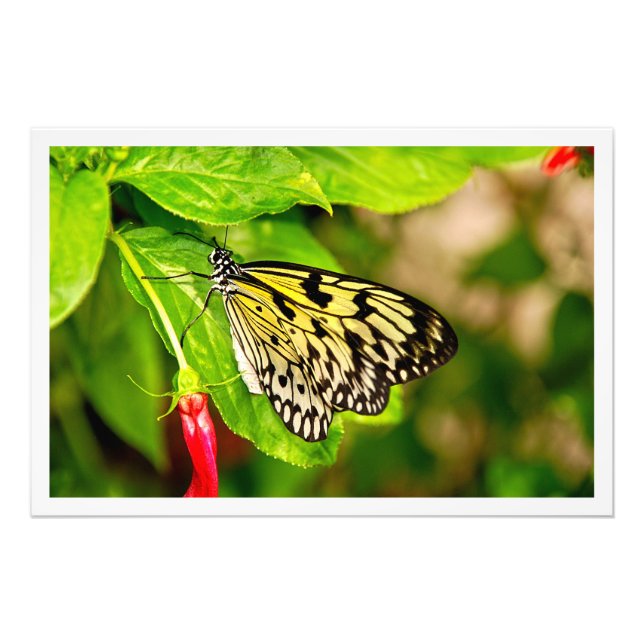 Utvidgning av foto (Framsidan)