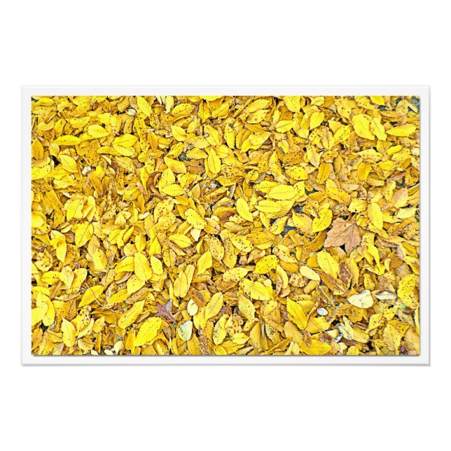 Utvidgning av foto (Framsidan)