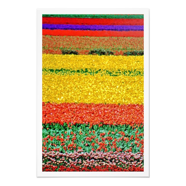 Utvidgning av foto (Framsidan)