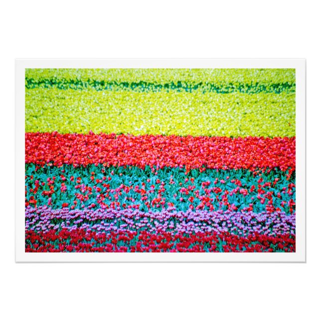 Utvidgning av foto (Framsidan)