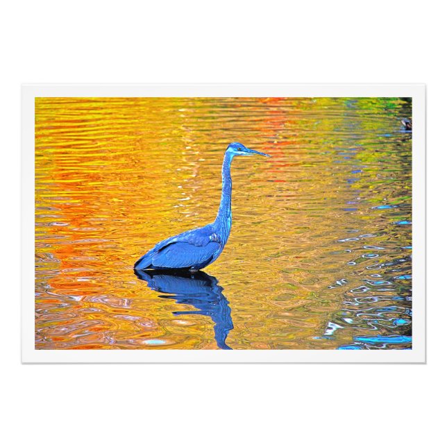 Utvidgning av foto (Framsidan)