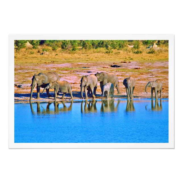 Utvidgning av foto (Framsidan)