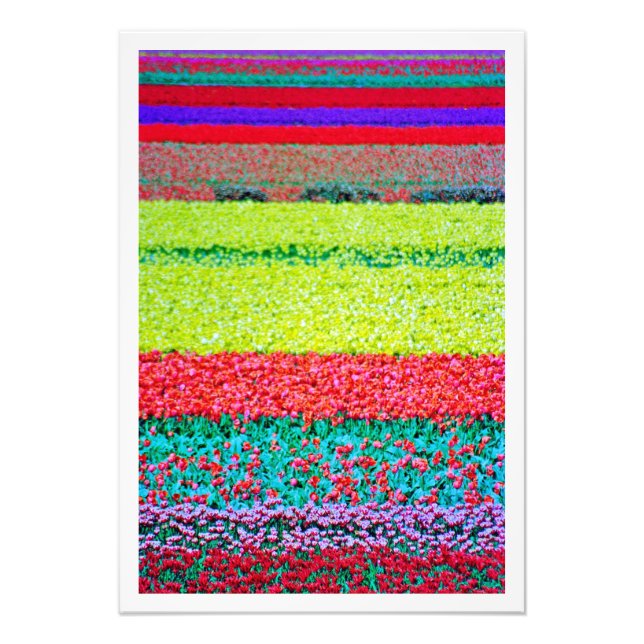 Utvidgning av foto (Framsidan)