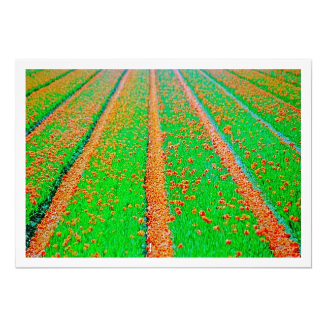 Utvidgning av foto (Framsidan)