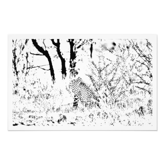 Utvidgning av foto (Framsidan)