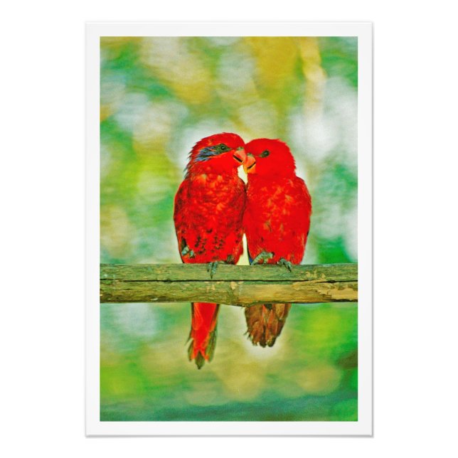 Utvidgning av foto (Framsidan)