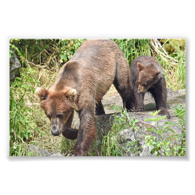 Utvidgning av foto (Framsidan)