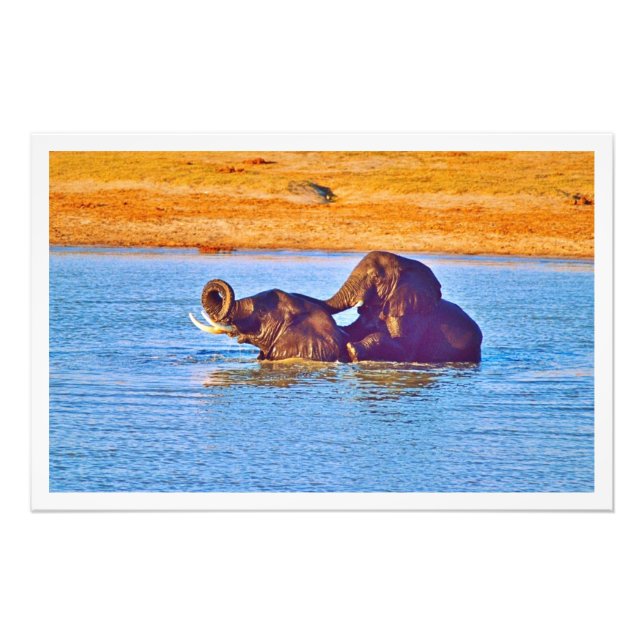 Utvidgning av foto (Framsidan)