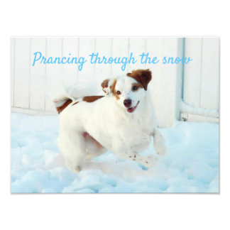 Utvidgningen genom Snö Fototryck