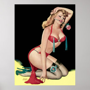 Utvikningsbildaffisch Poster