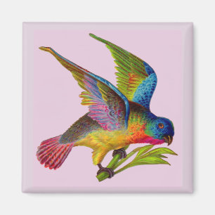 UV-färgat Victorianfågeltryck Magnet
