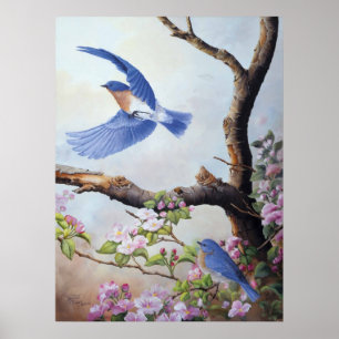 UV kanfas Printes "för bluebirds" Poster