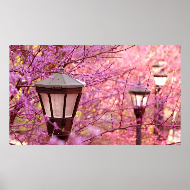 UVA-lampor Poster (Framsidan)