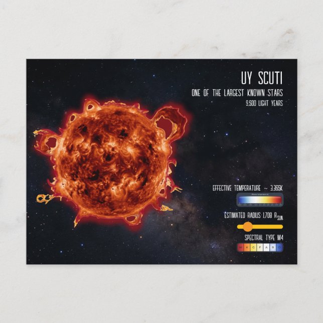 UY Scuti Biggest Star in Universe Infographic Vykort (Framsida)