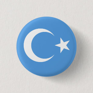 Uyghur/Öster Turkestan Flagga Knapp