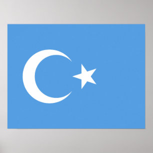 Uyghur/Öster Turkestan Poster
