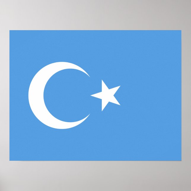 Uyghur/Öster Turkestan Poster (Framsidan)