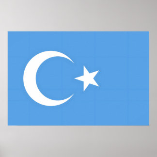 Uyghur/Östturkestan Poster