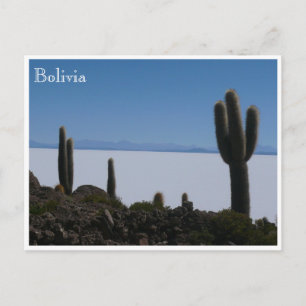 uyuni cacti bolivia vykort