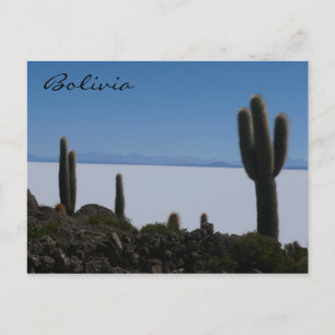 uyuni cacti bolivia vykort