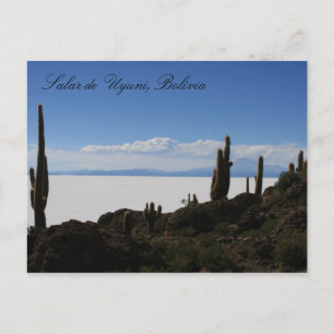 uyuni cacti vykort