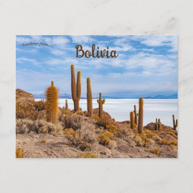 Uyuni saltslätt i Bolivia Vykort (Framsida)