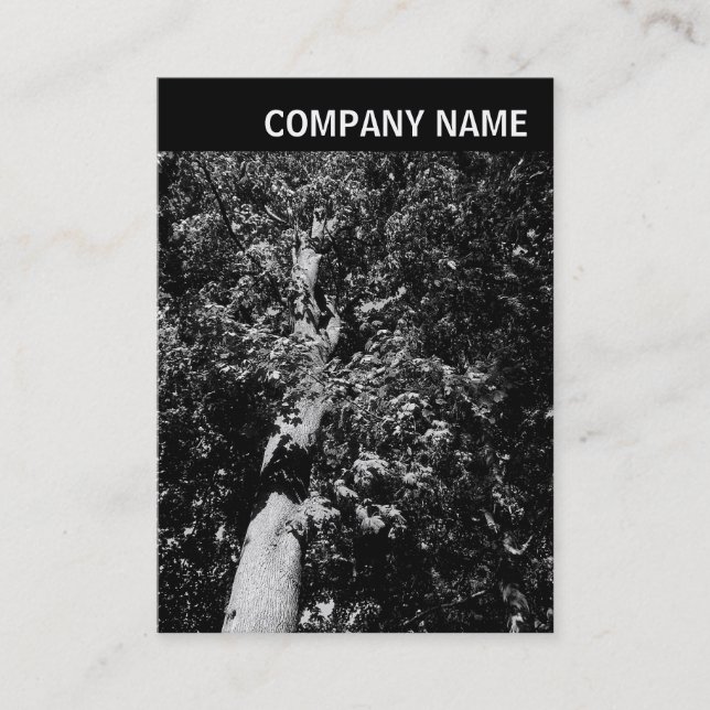 V Header - Bild - Flygplan Träd Visitkort (Framsida)