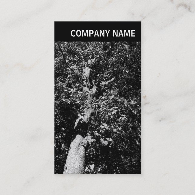 V Header - Bild - Flygplan Träd Visitkort (Framsida)