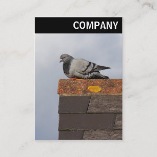 V Header - Bra God morgon Pigeon Visitkort