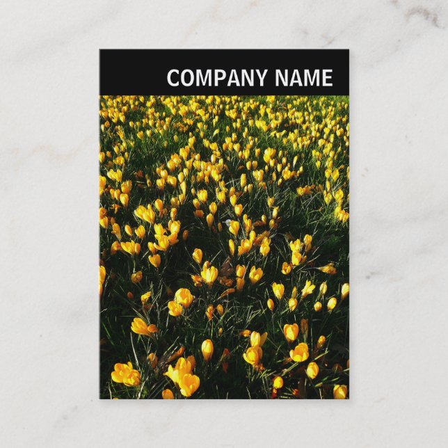 V Header - Foto - Crocuses Visitkort (Framsida)