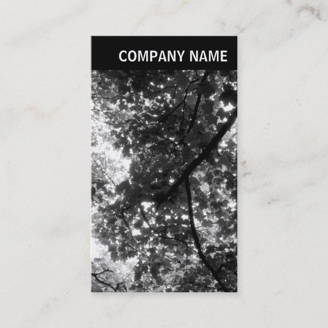 V Header - Foto - Träd i Vår Visitkort (Framsida)