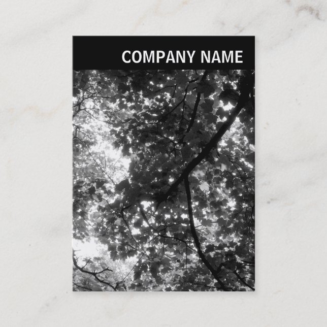 V Header - Foto - Träd i Vår Visitkort (Framsida)