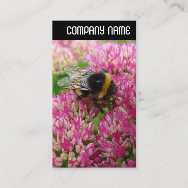 V Header - Humla Sedum Visitkort (Framsida)