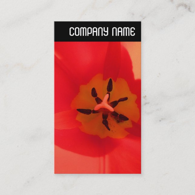 V Header - Inuti en tulip Visitkort (Framsida)