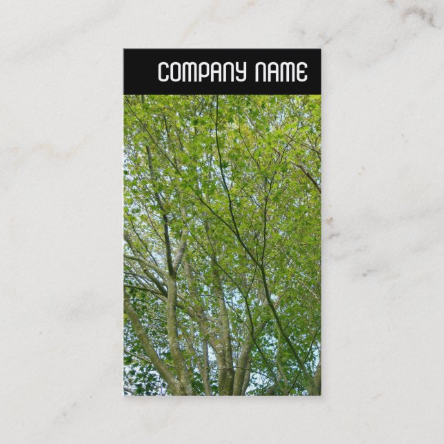 V Header - japansk aple Visitkort (Framsida)