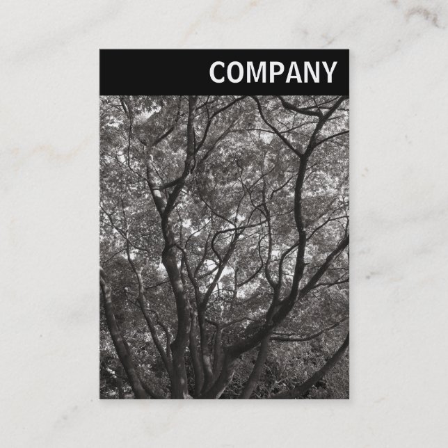 V Header - Japanska Grenar 02 Visitkort (Framsida)