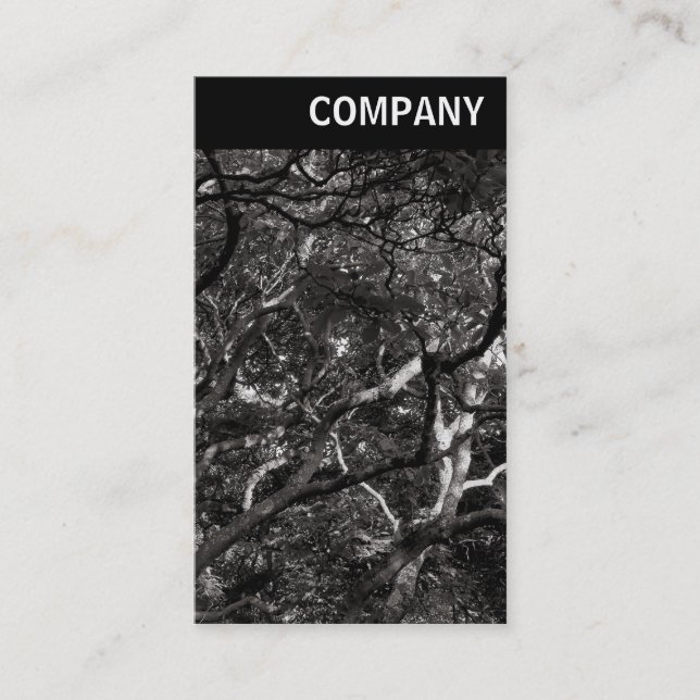 V Header - Japanska Grenar 03 Visitkort (Framsida)